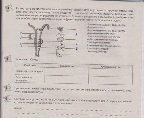 Как восстановить доступ к кракену