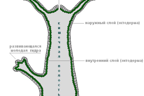 Купить наркотики томск